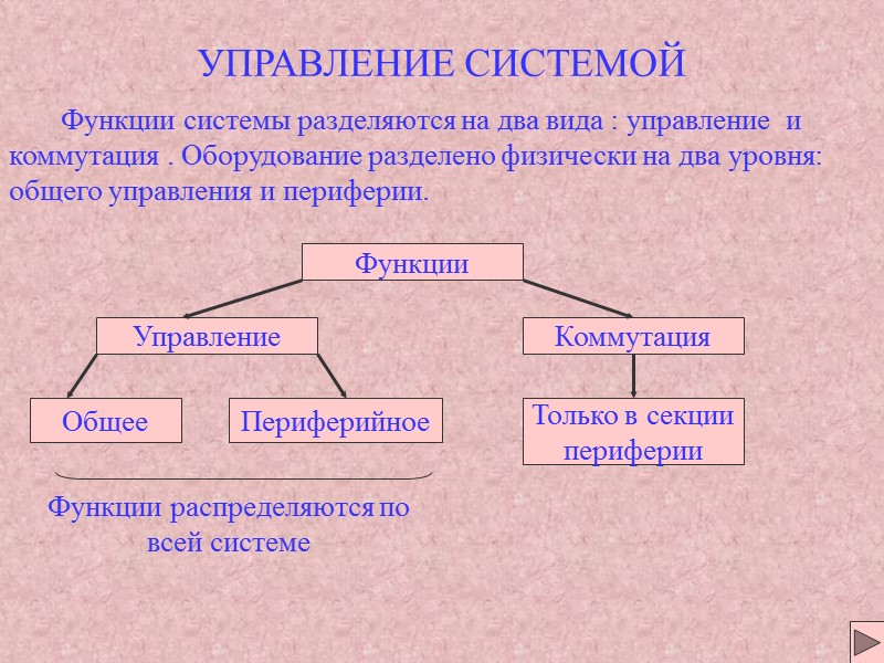 УПРАВЛЕНИЕ СИСТЕМОЙ Функции системы разделяются на УПРАВЛЕНИЕ СИСТЕМОЙ Функции системы разделяются на